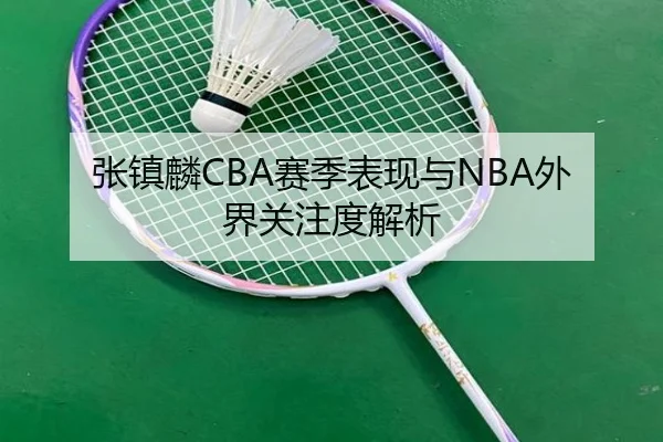 张镇麟CBA赛季表现与NBA外界关注度解析
